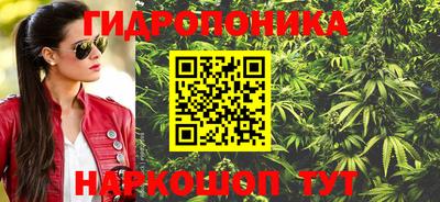 твердый Будённовск