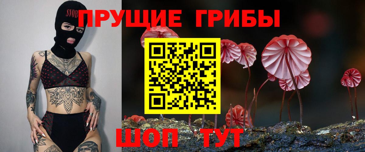 Галлюциногенные грибы Psilocybine cubensis  Вход с VPN  Псилоцибиновые грибы Psilocybine cubensis  Ливны 
